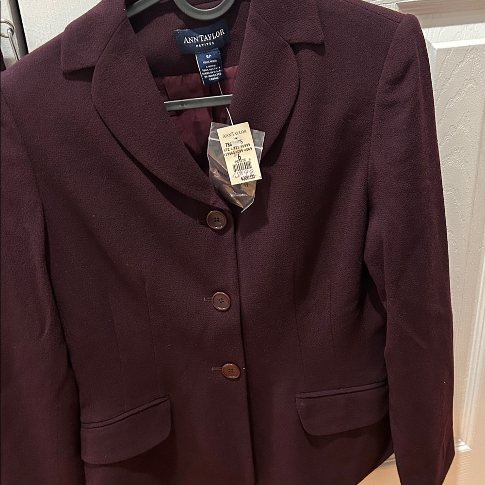 Ann Taylor Plum Blazer and Skirt Set